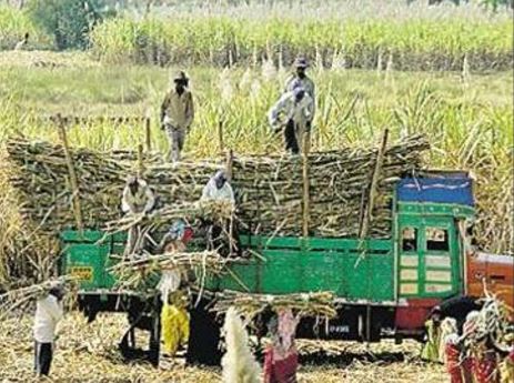 In Maharashtra’s sugarcane belt, child marriage...