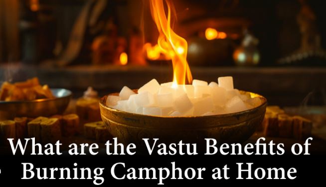 10 Importance or Uses of Camphor